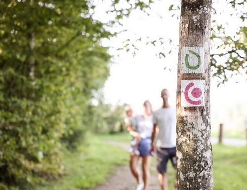 Sentier de randonnée confort