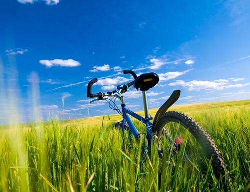 Cyclisme