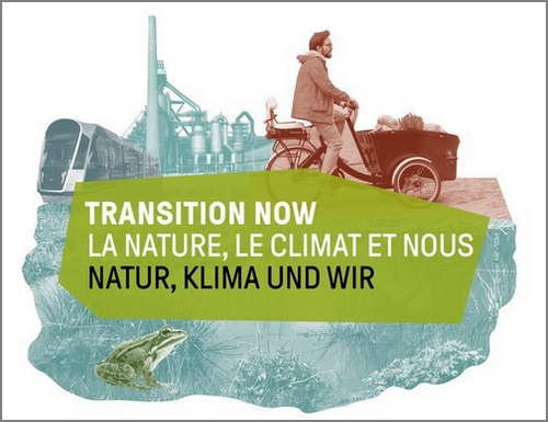 Transition NOW
